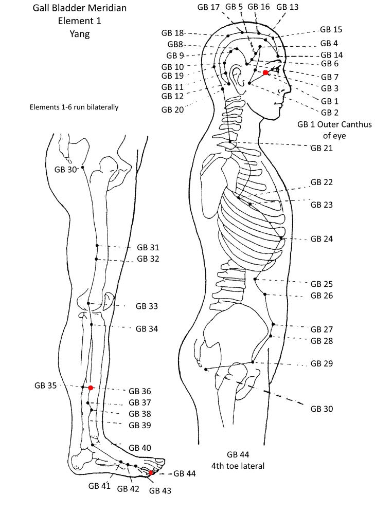 1A Gall Bladder Meridian