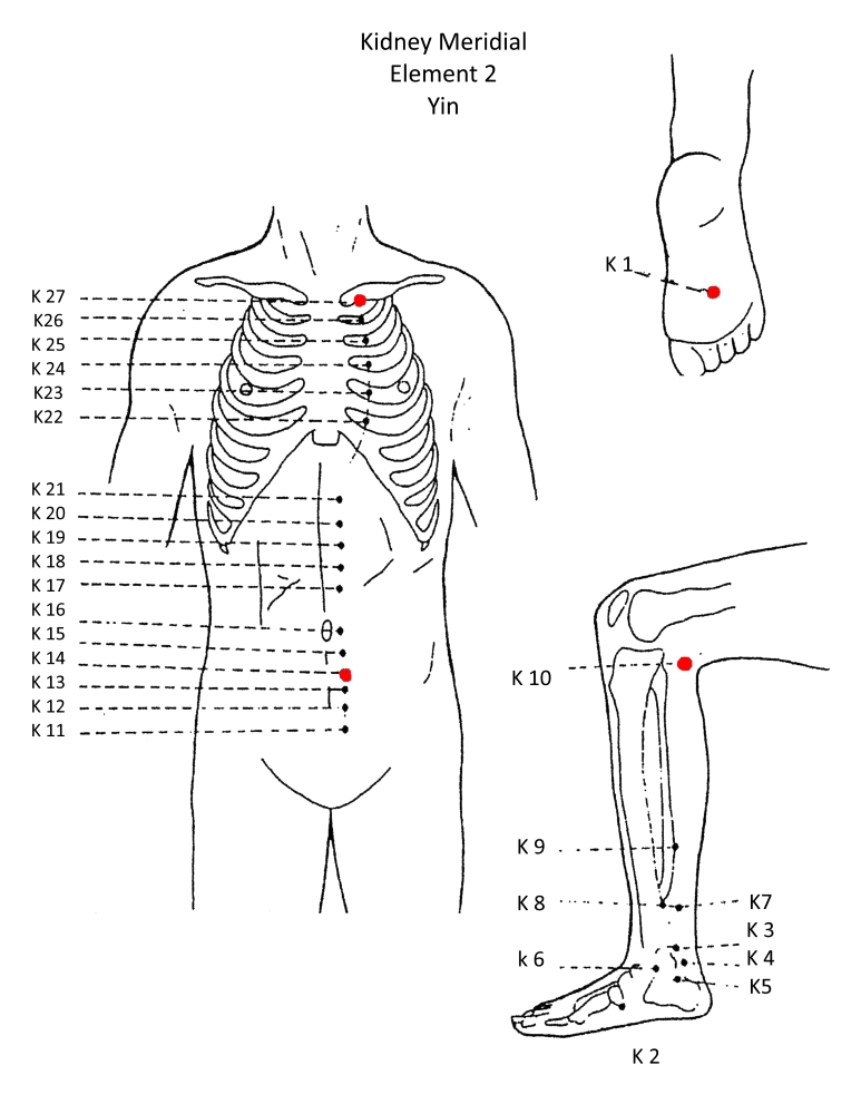 2B Kidney Meridian