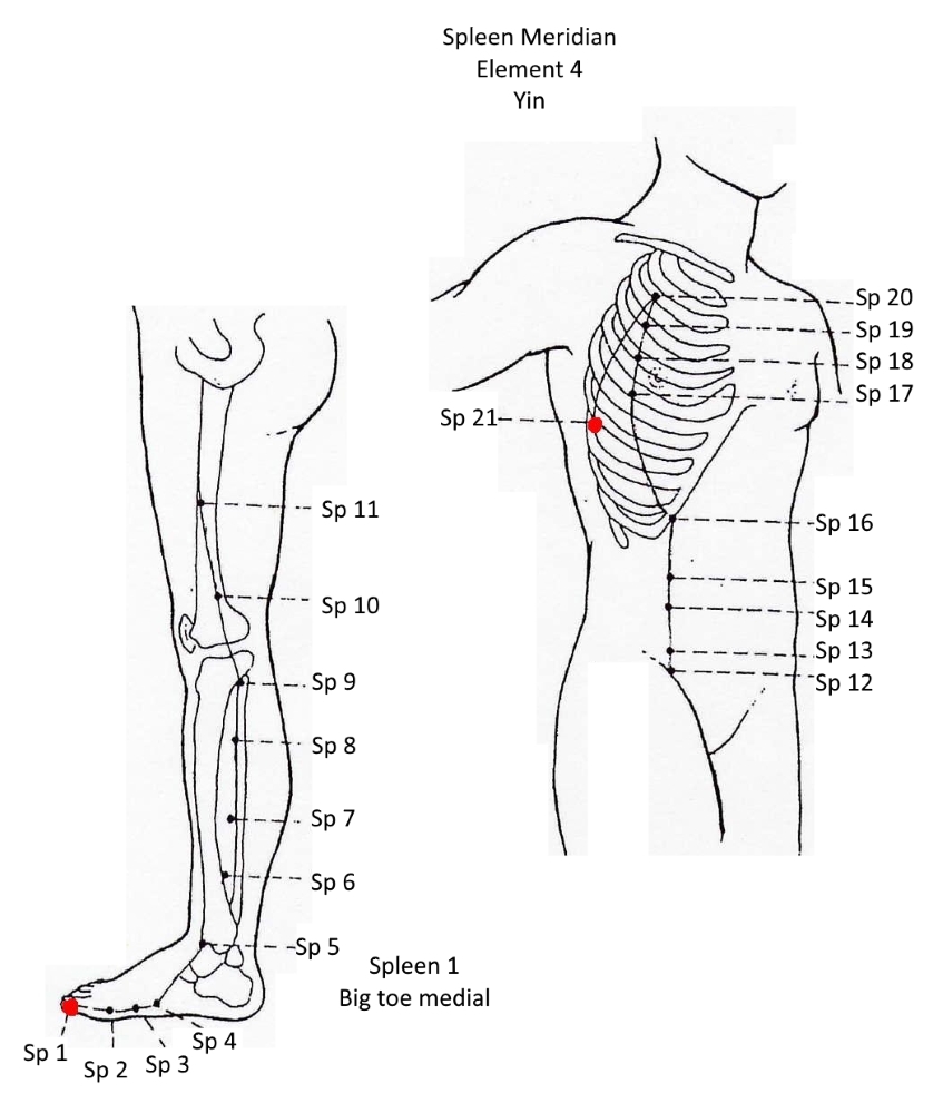 4B Spleen Meridian