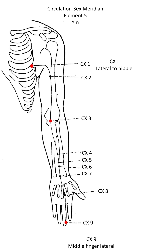 5B Circulation Sex Meridian