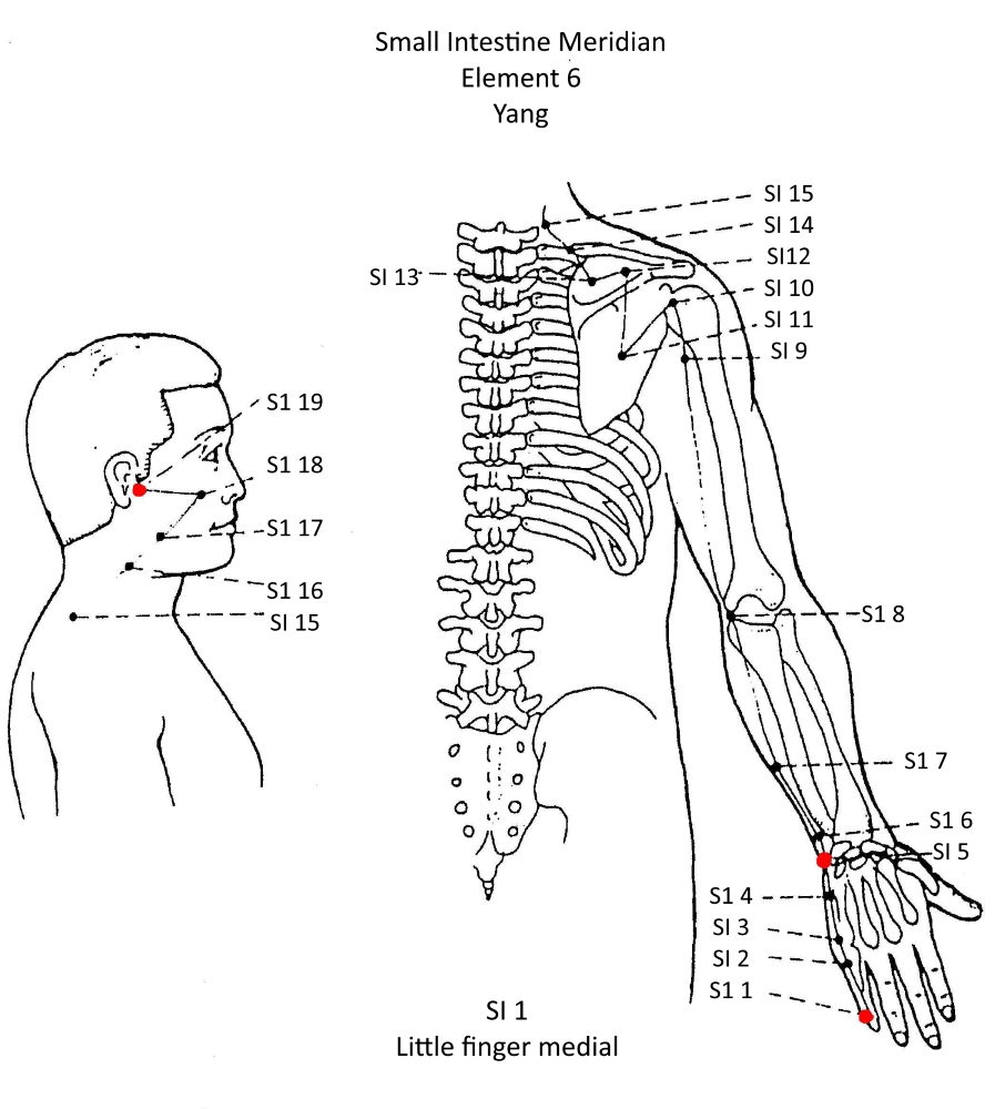 6A Small Intestine Meridian