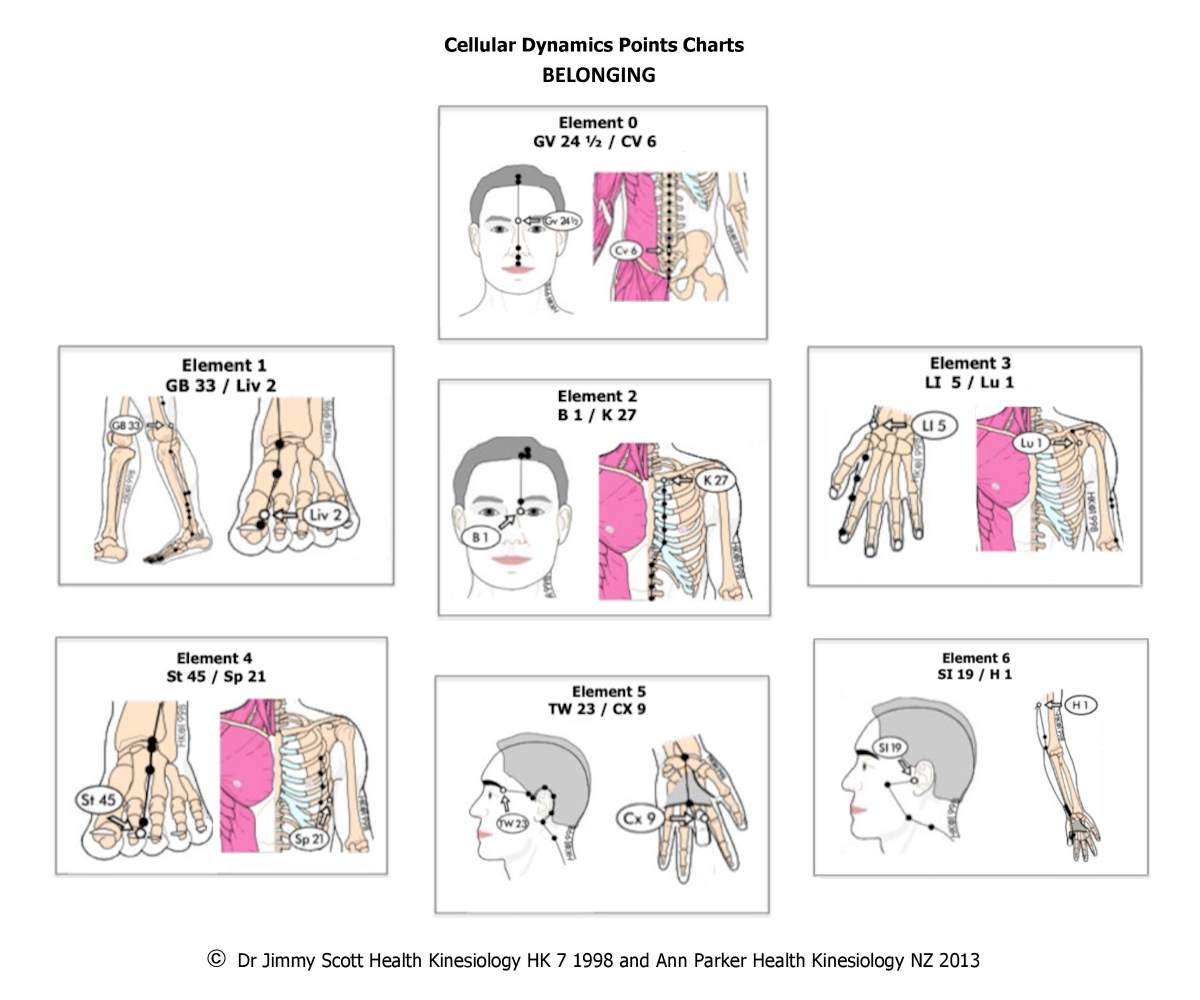 Cellular Dynamic Points: Experience