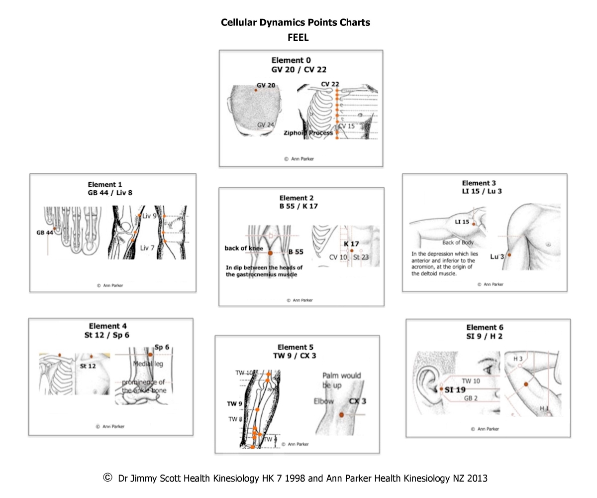 Cellular Dynamic Points: Feel