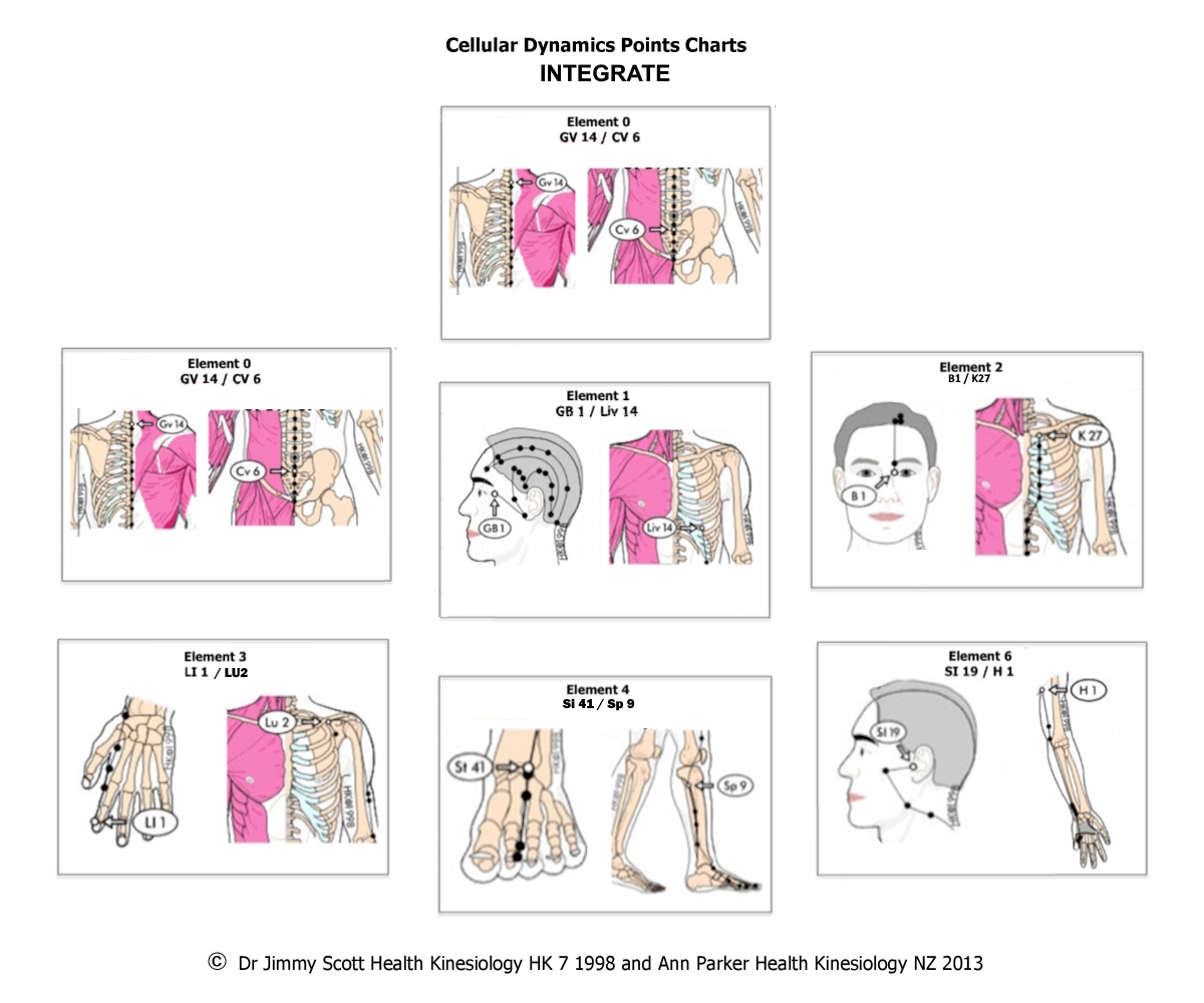 Cellular Dynamic Points: Integrate