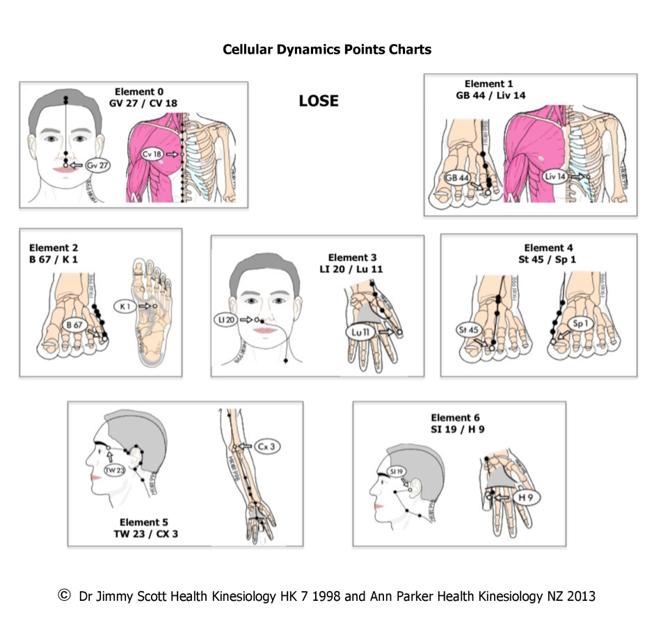 Cellular Dynamic Points: Lose
