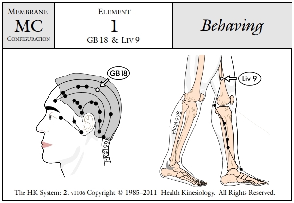 Membrane Configuration Behaving 1