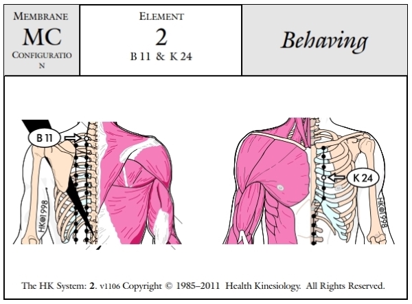 Membrane Configuration Behaving 2