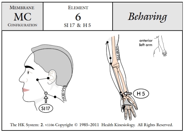 Membrane Configuration Behaving 6