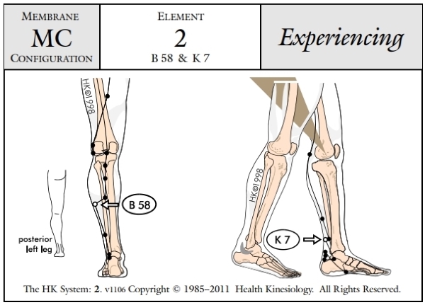 Membrane Configuration Experiencing 2