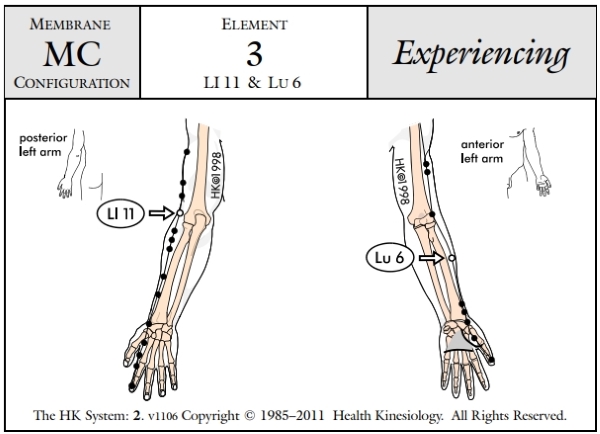 Membrane Configuration Experiencing 3