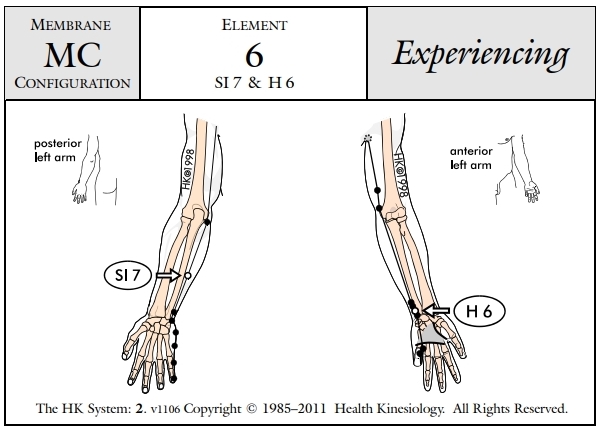 Membrane Configuration Experiencing 6