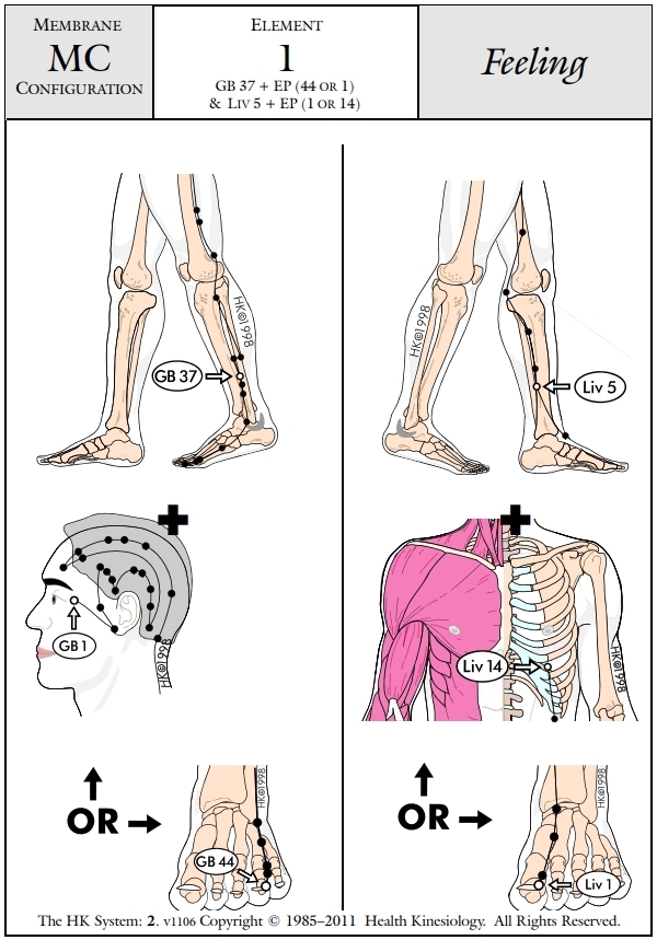 Membrane Configuration Feeling 1