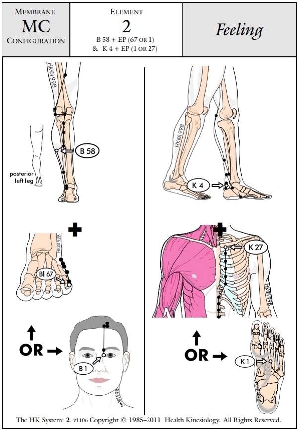 Membrane Configuration Feeling 2