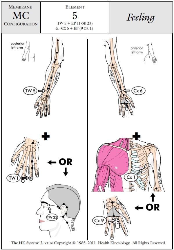 Membrane Configuration Feeling 5