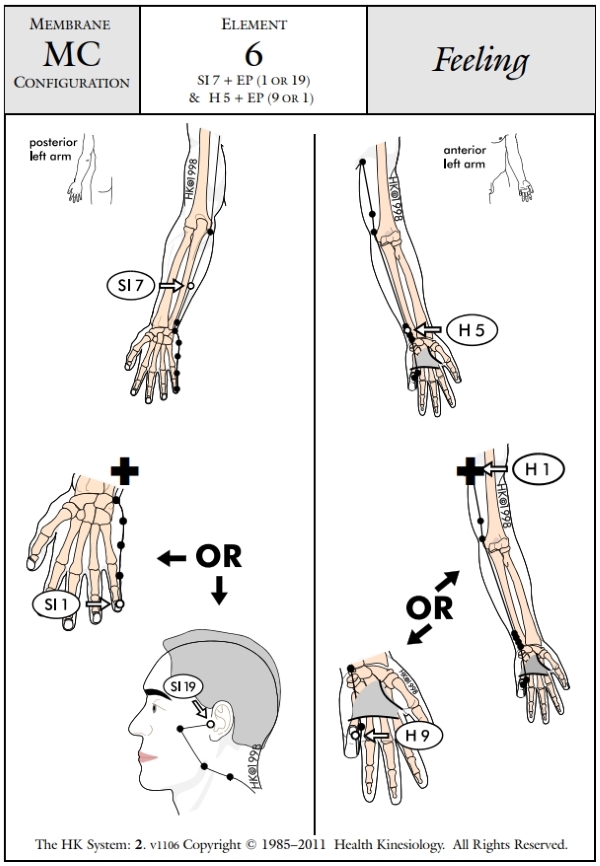 Membrane Configuration Feeling 6