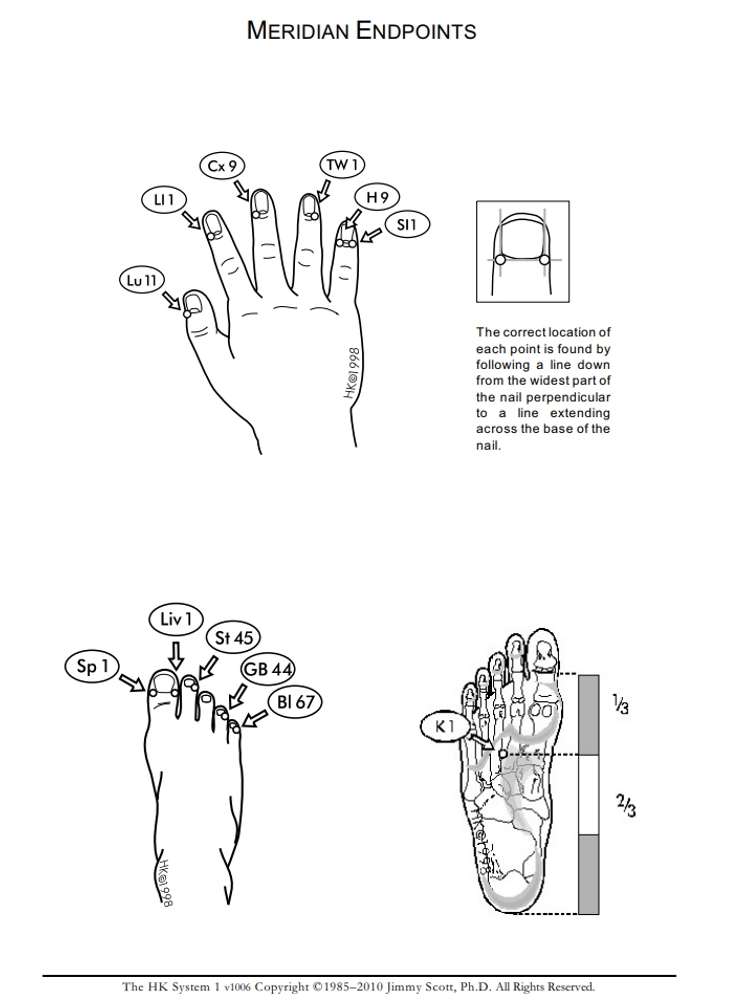Meridian Endpoints: Hands and Feet