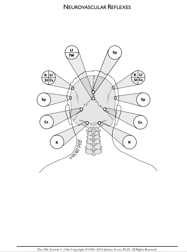 Neurovascular Reflexes: Back