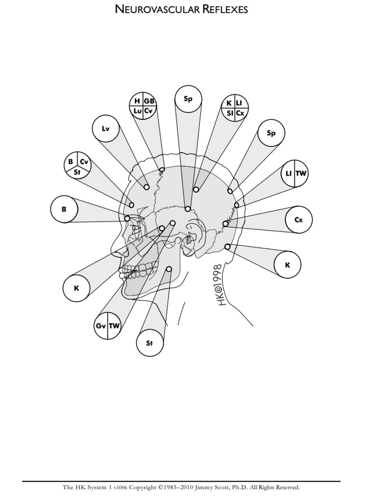 Neurovascular Reflexes: Side